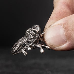 May include: A silver frog charm with a detailed textured surface and realistic features. The frog is sitting on its hind legs with its front legs outstretched.