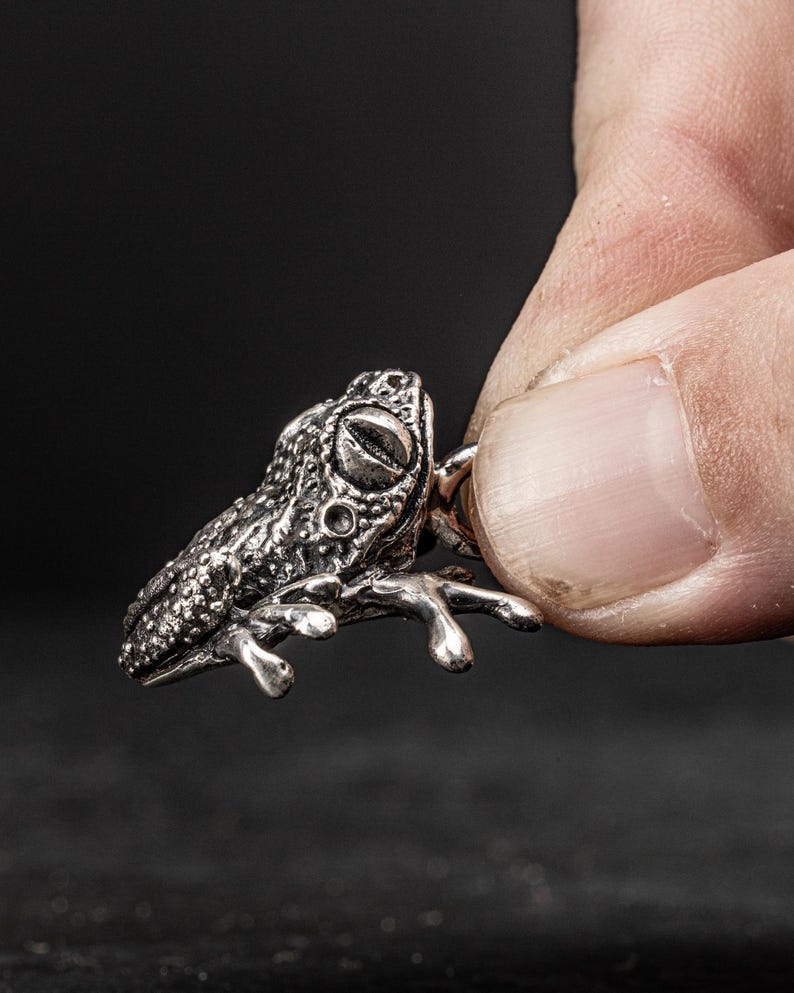 May include: A silver frog charm with a detailed textured surface and realistic features. The frog is sitting on its hind legs with its front legs outstretched.