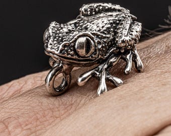 Frog