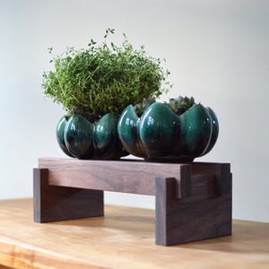 May include: Two dark green ceramic planters with a glossy finish, each holding greenery, sit on a dark wood plant stand. The stand has a minimalist design with a rectangular shape.