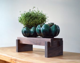 Black Walnut Plant Stand - Mid-Century Modern Minimalist Riser