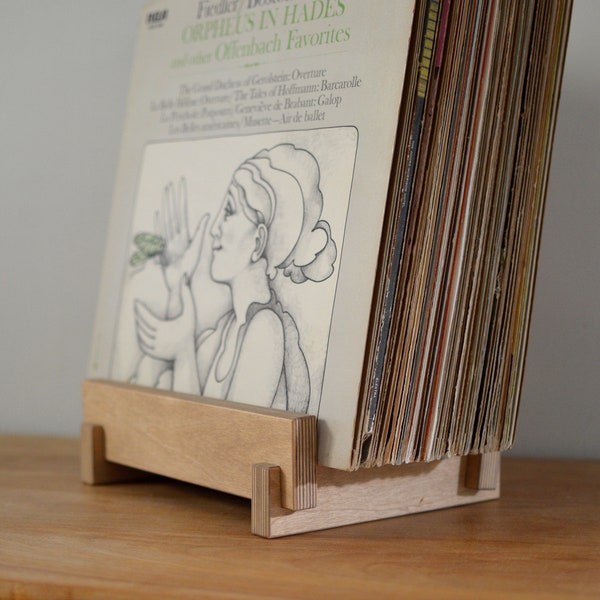 Vinyl LP Record Storage Display | 12" Vinyl Album Storage | Vinyl Record Holder | Zero-VOC Finish