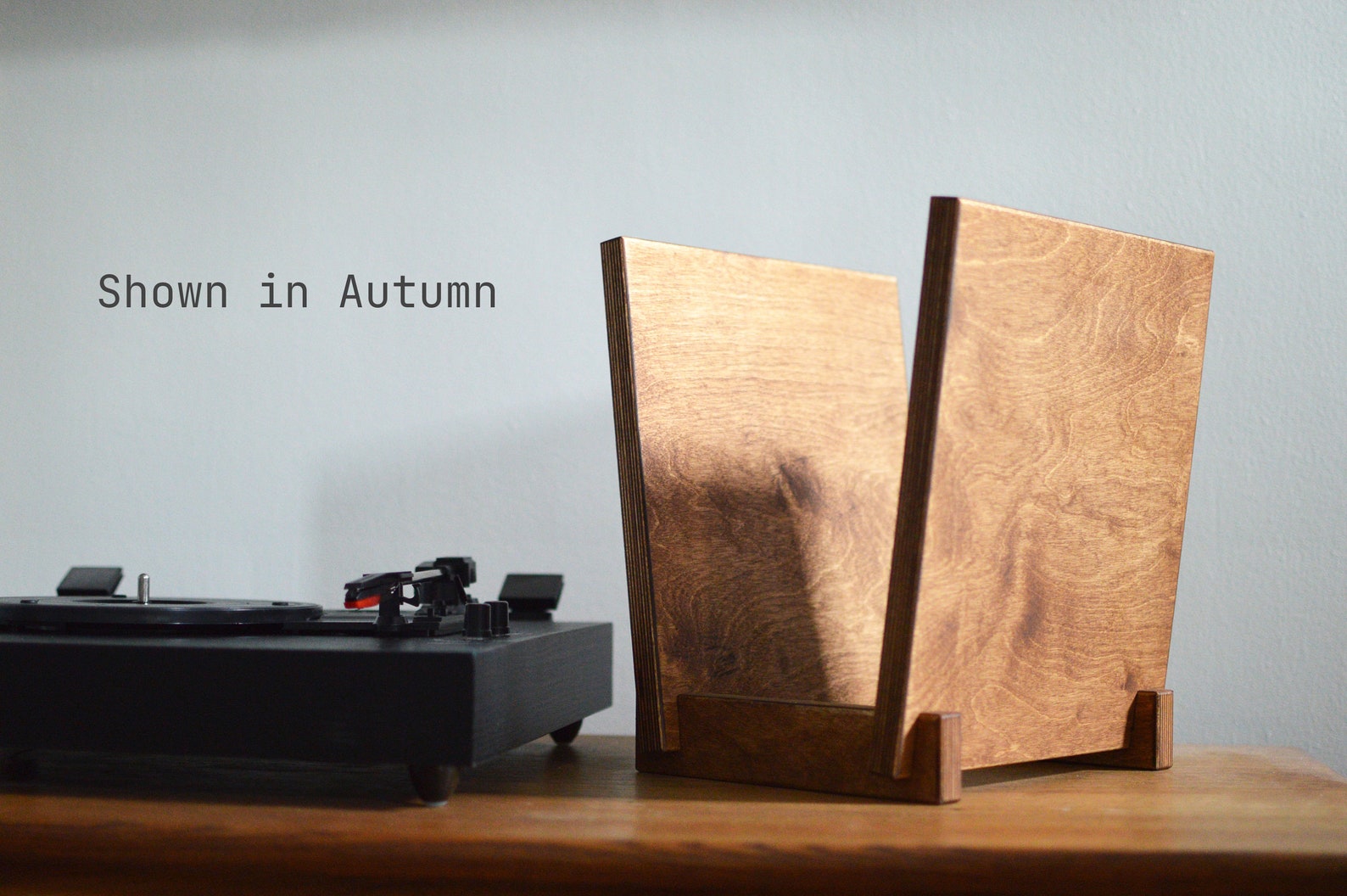 Vinyl LP Record Storage Display LP Flip Rack Vinyl Storage Zero-voc ...