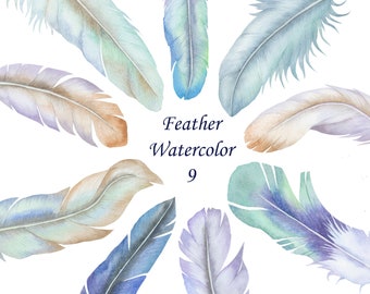 Watercolor Feather Clipart: Hand-Painted PNG Graphics (Digital Download)