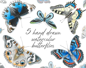 Watercolor realistic butterflies, Summer clipart, PNG, Hand painted butterflies, Papilio machaon, Ornithoptera alexandrae, Junonia coenia