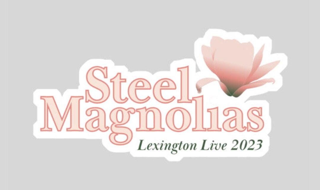 Steel Magnolias Mini Decal Vinyl Waterproof Holographic Etsy