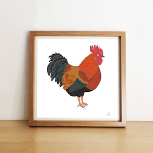 illustrated print - hand drawn - print wall art - illustration - cockerel - farm - framed print - home decor art - print art - funny