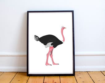 illustration print - ostrich - art print - A3 bird print - nursery print - wall art print - line drawing prints - home decor - kids gift