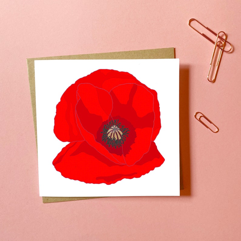 Illustrated Cards Hand Drawn Cards Greeting Cards Poppy Etsy