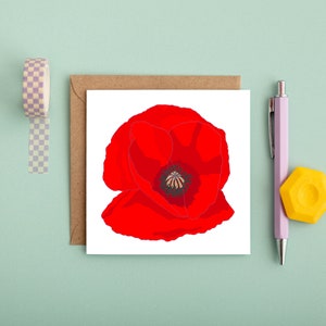 Biglietti illustrati - biglietti disegnati a mano - biglietti di auguri - papavero - fiore - con simpatia - illustrazione - biglietto di ringraziamento - pensando a te
