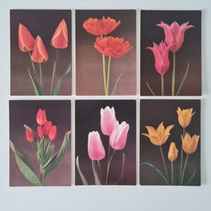 Tulips postcard set, Soviet vintage, postcards with nice flowers
