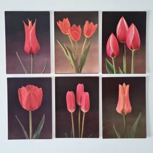Tulips, postcards set, Soviet vintage, postcards with nice flowers