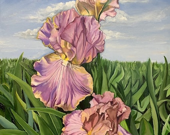 Irises
