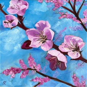 Cherry Blossoms