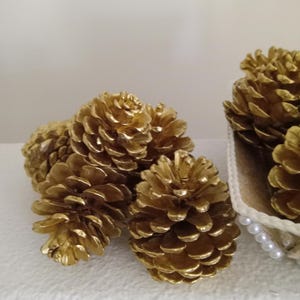 Natural Ponderosa Pinecones - Gold, Silver, Copper (add'l colors available)