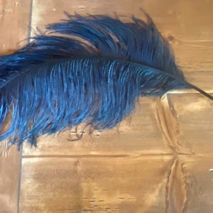 Ostrich Feather Plume Extra Large Antique Millinery Feather circa 1900s Pristine Condition 30”