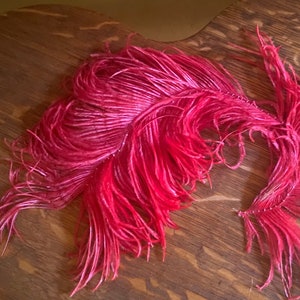 Vintage Ostrich Feather Plume Red circa 1940s Millinery Crafters - Flapper - Mardi Gras - Showgirl Fans