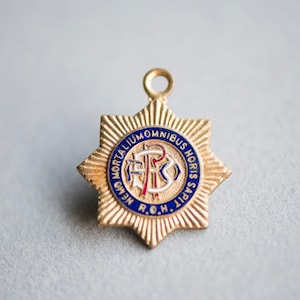 Zabytkowy medal braterski, Buffaloes, Buffs, biżuteria z odznaką gwiazdy Bham, łaciński cytat męski dodatek, pomysły na prezenty retro dla mężczyzn