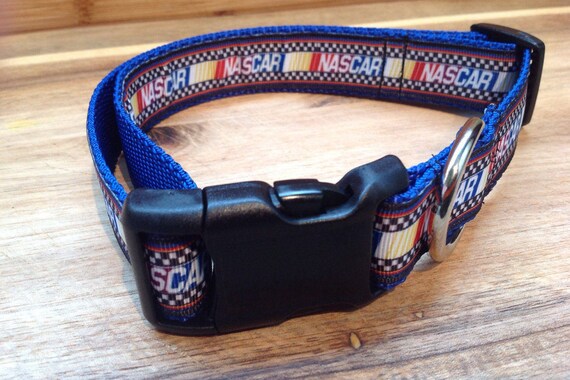 nascar dog collar