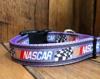 nascar dog collar