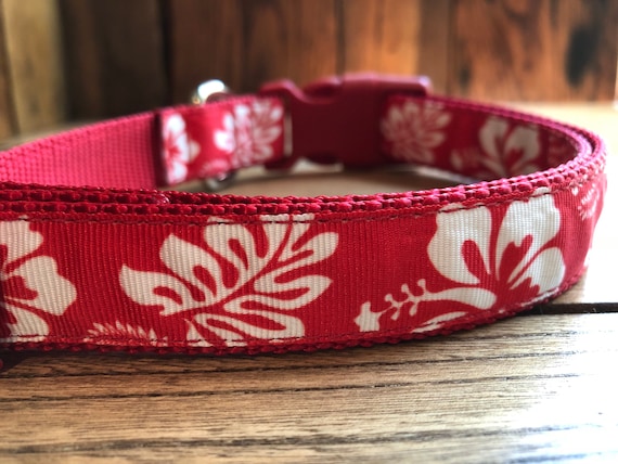 hibiscus dog collar