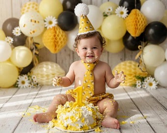 Bumble Bee First Birthday Outfit: Cake Smash Set, Necktie, Diaper Cover
