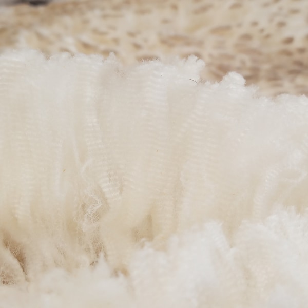 Fleece #952/2023 - 15.91 Micron, SUPERFINE and COATED White Merino Fleece, Raw, Natural, Unprocessed, Chemical Free, Super Soft, 95mm Length
