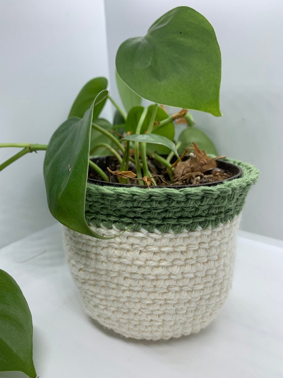 Small White & Green Round Basket - Etsy