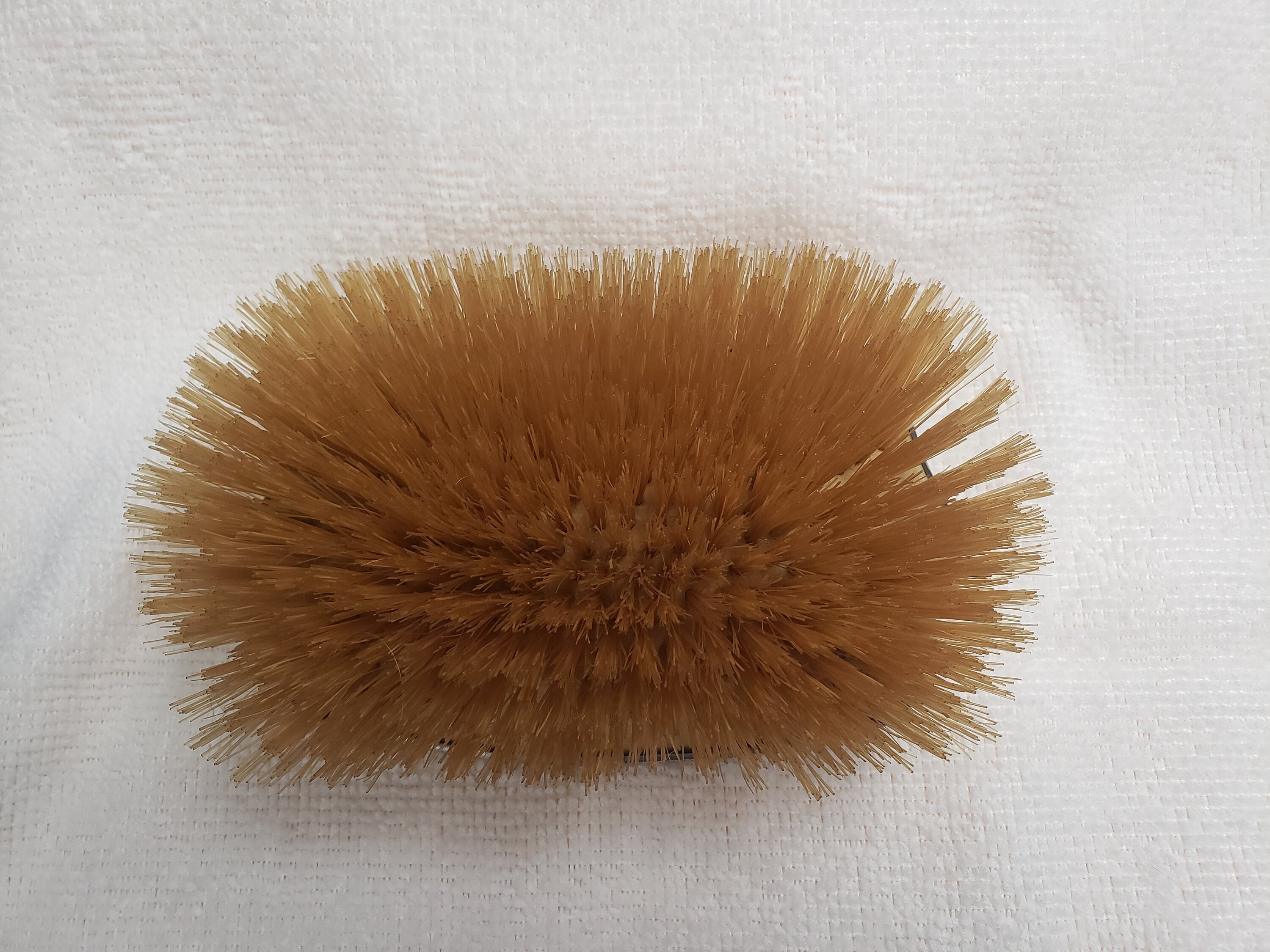 Antique 1800's Sterling Silver Horsehair Clothes Brush Etsy 日本