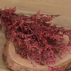 Preserved Limonium Caspia bunch real touch flowers for craft flower bouquet red flowers 25 grams