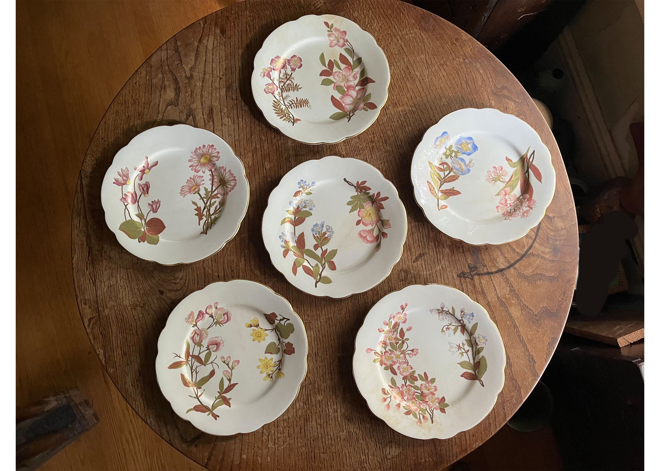 ヴィクトリア時代 ロイヤルウースター デザートプレート ペア 快適ホビー・楽器・アート - ヴィクトリア時代 ロイヤルウースター