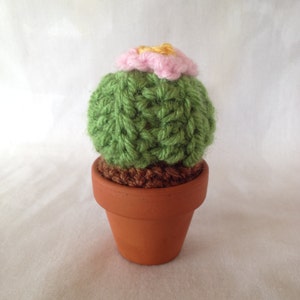 Piccolo Amico Cactus Crocheted