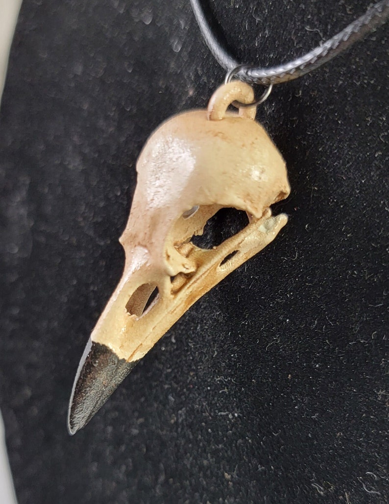 Raven Skull Necklace, Crow Jewelry for Women, Gift for Bird Lover ...