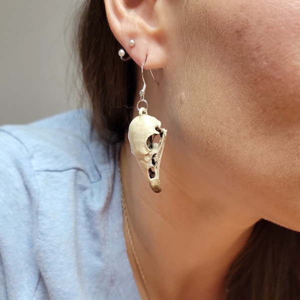 Turkey Vulture Skull Earrings, Raven Skull Earrings, Dangle Vulture Skull Earrings, Museum Quality Vulture Skull Earrings, Normal Bone Color