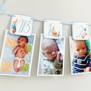 Peter Rabbit First Birthday Decorations, Peter Rabbit Photo Banner, Peter Rabbit Birthday Banner, Easter Birthday, Peter Rabbit and Friends