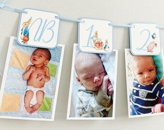 Peter Rabbit First Birthday Decorations, Peter Rabbit Photo Banner, Peter Rabbit Birthday Banner, Easter Birthday, Peter Rabbit and Friends