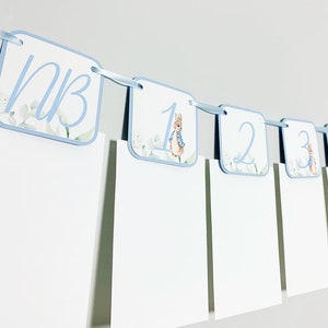 Peter Rabbit first birthday monthly photo banner, Peter Rabbit birthday party decorations, Peter Rabbit and Friend baby shower, personalized