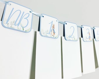 Peter Rabbit first birthday monthly photo banner, Peter Rabbit birthday party decorations, Peter Rabbit and Friend baby shower, personalized