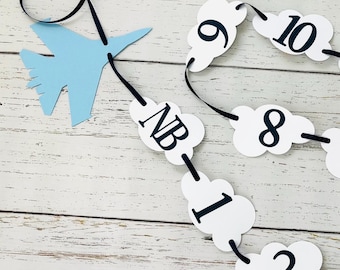 top gun first birthday photo banner, fighter jet birthday, air force birthday, first flight, maverick, the need for speed, top one, two fly
