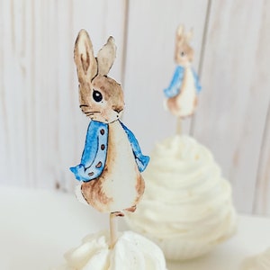 Peter Rabbit Cupcake Toppers, Peter Rabbit Birthday Decorations, Peter Rabbit Baby Shower Decorations, Easter Birthday, Easter Baby Shower