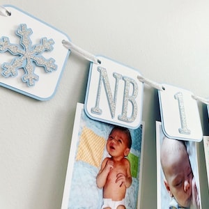 Decoraciones de cumpleaños de Winter ONEderland, Niño de Winter ONEderland, Fiesta de cumpleaños de copos de nieve de invierno, Banner de fotos de Winter ONEderland imagen 1
