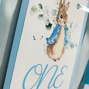 Peter Rabbit high chair banner featuring either a blue Peter Rabbit, pink Peter Rabbit, yellow Peter Rabbit or Green Peter Rabbit. The fabric will coordinate with the color of Peter Rabbit's jacket. The banner is available to read an age or name.