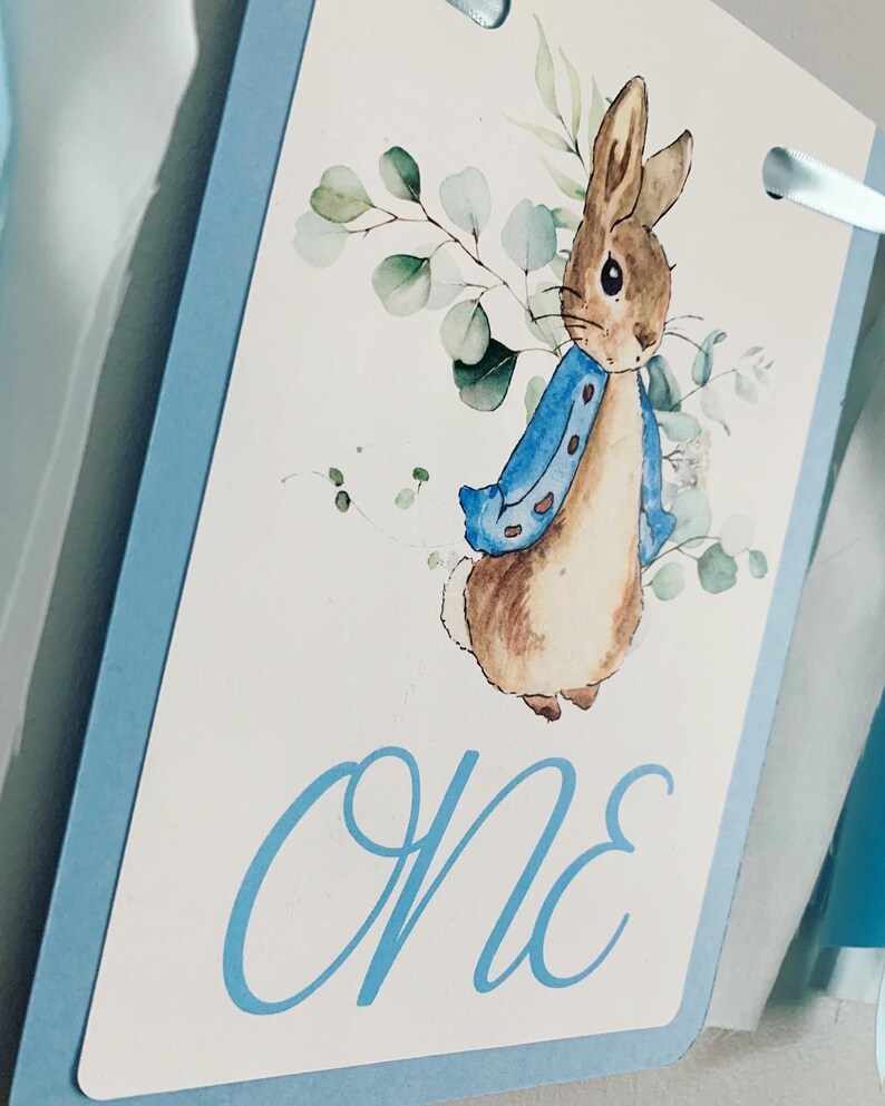 Peter Rabbit high chair banner featuring either a blue Peter Rabbit, pink Peter Rabbit, yellow Peter Rabbit or Green Peter Rabbit. The fabric will coordinate with the color of Peter Rabbit's jacket. The banner is available to read an age or name.