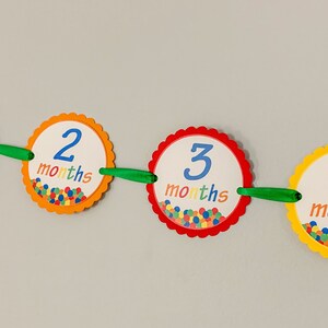 lets have a ball first birthday monthly photo banner featuring a ball pit