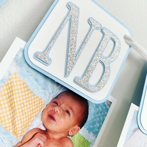 Decoraciones de cumpleaños de Winter ONEderland, Niño de Winter ONEderland, Fiesta de cumpleaños de copos de nieve de invierno, Banner de fotos de Winter ONEderland imagen 3
