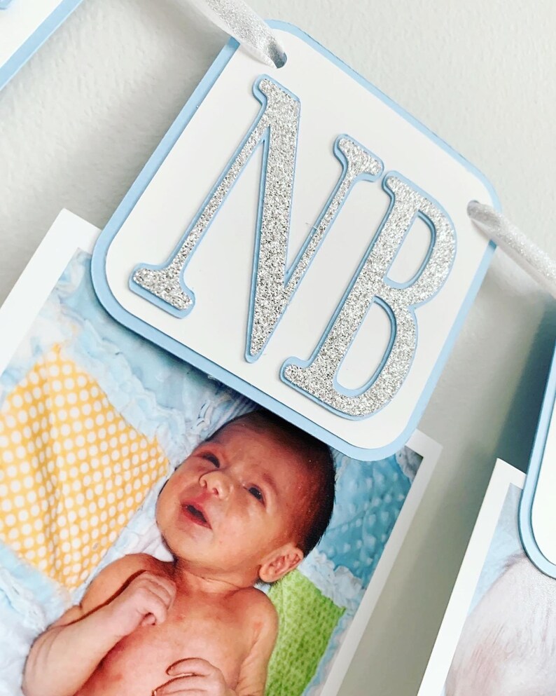 Decoraciones de cumpleaños de Winter ONEderland, Niño de Winter ONEderland, Fiesta de cumpleaños de copos de nieve de invierno, Banner de fotos de Winter ONEderland imagen 3