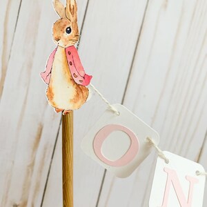 Peter Rabbit Cake Topper, Pink Peter Rabbit Birthday Decorations, Peter Rabbit Baby Shower Decorations, Easter Birthday, Easter Baby Shower Light Pink Letters