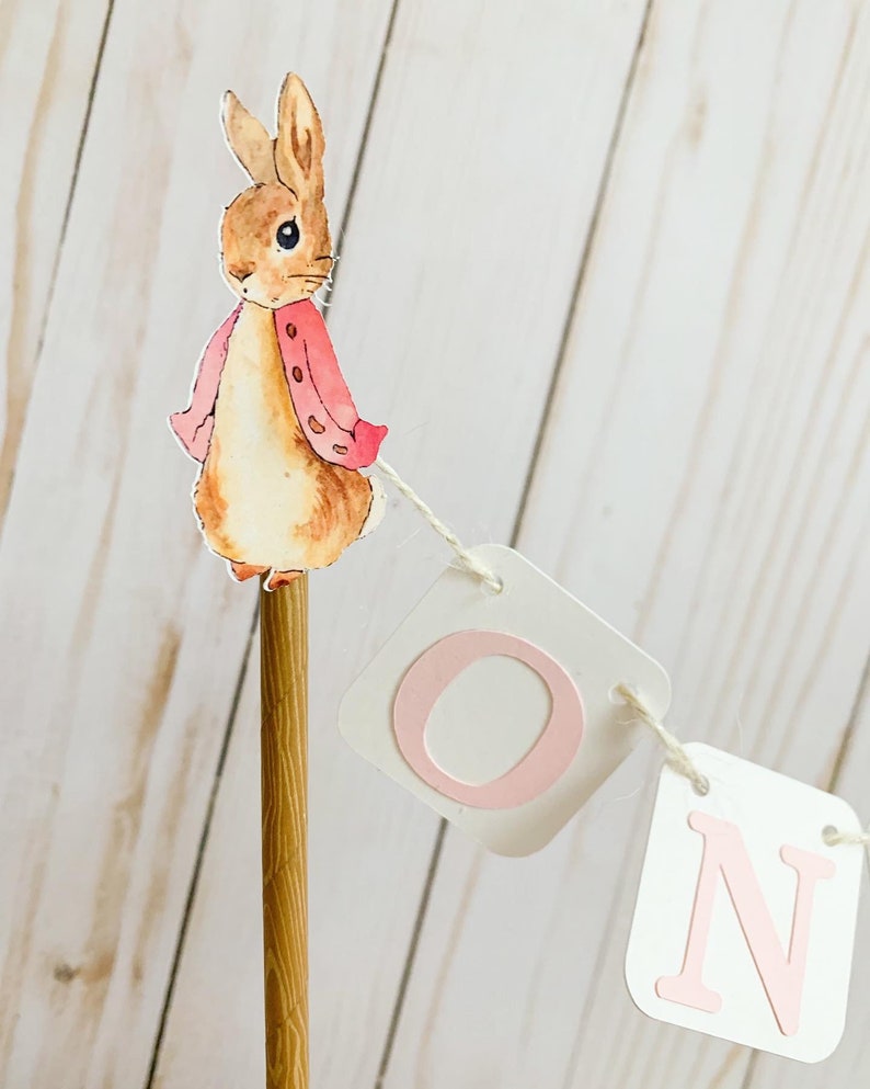 Peter Rabbit Cake Topper, Pink Peter Rabbit Birthday Decorations, Peter Rabbit Baby Shower Decorations, Easter Birthday, Easter Baby Shower Light Pink Letters