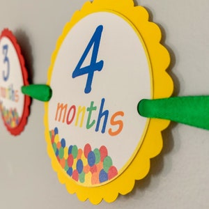 lets have a ball first birthday monthly photo banner featuring a ball pit