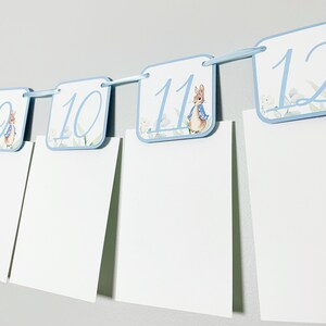 Peter Rabbit Photo Banner that includes months NB - 12. Each pennant features watercolor floral images. Alternating months also includes a Peter Rabbit Image.